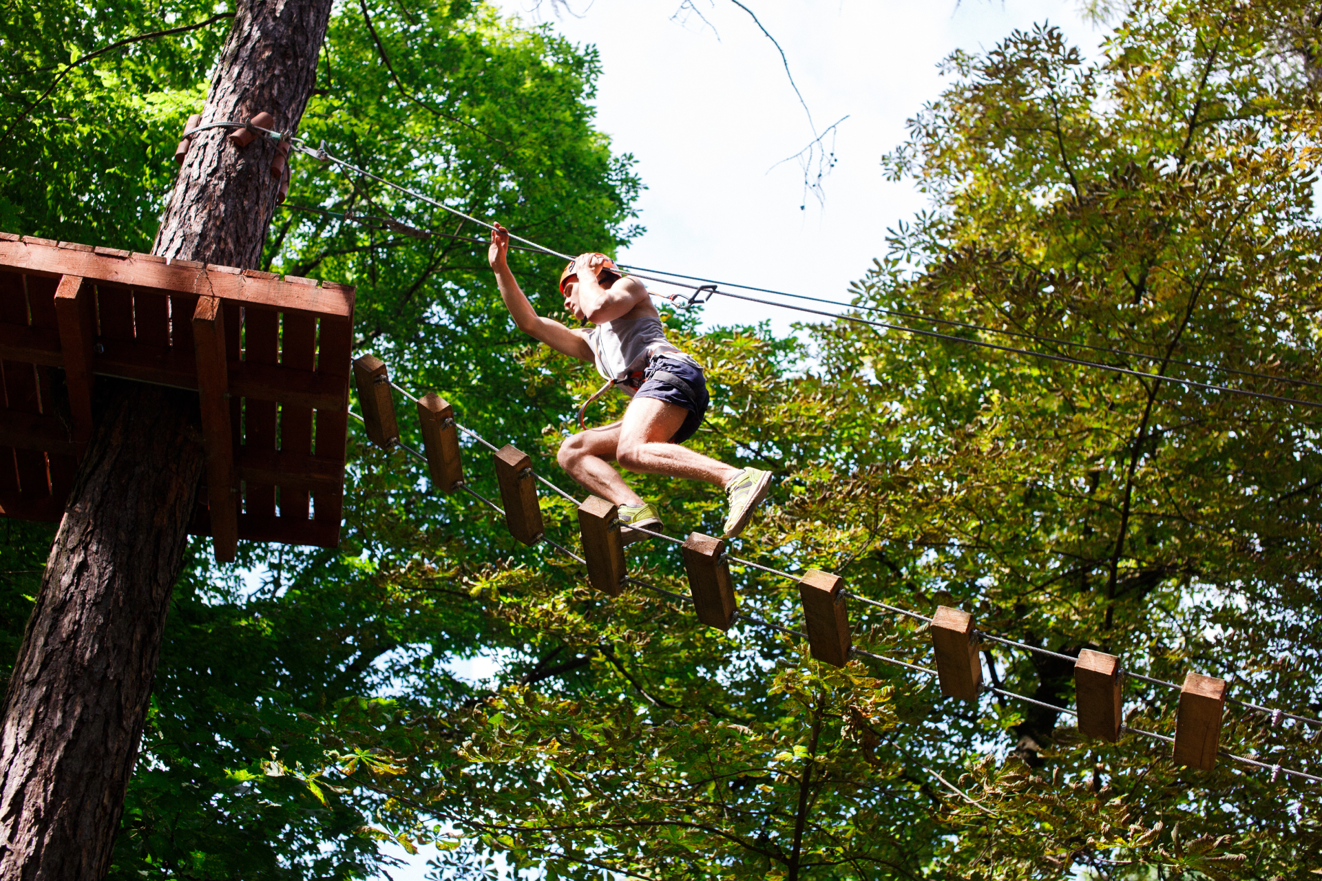 Accrobranche et parcours aventure